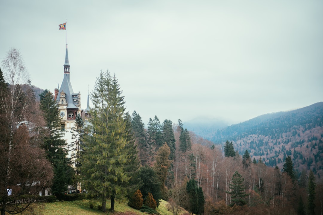 Peleș Castle: A Neo-Renaissance Gem in the Carpathians - Aleea Peleșului 2 | Secret World Trip Planner