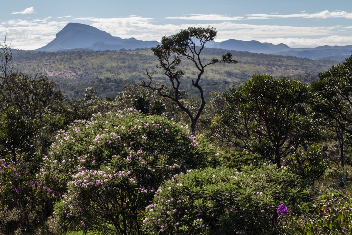 Chapada dos Veadeiros: altopiano selvaggio del Brasile - GO | Secret World Trip Planner