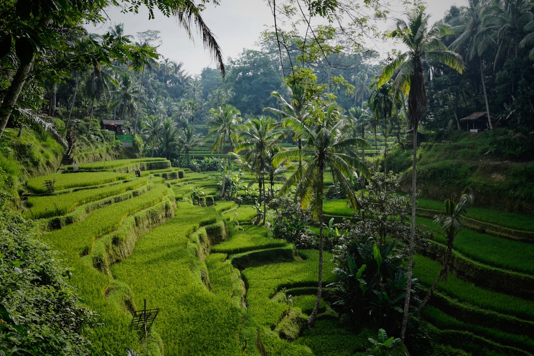 Vacaciones en Bali 2026: guía para ahorrar - Bali | Secret World Trip Planner
