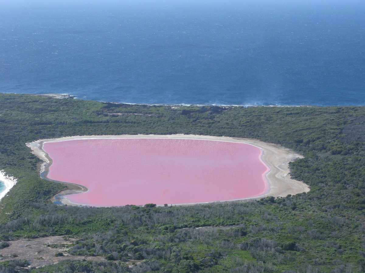 Lago Hillier: el lago rosa de Australia Occidental - Lago Hillier | Secret World Trip Planner