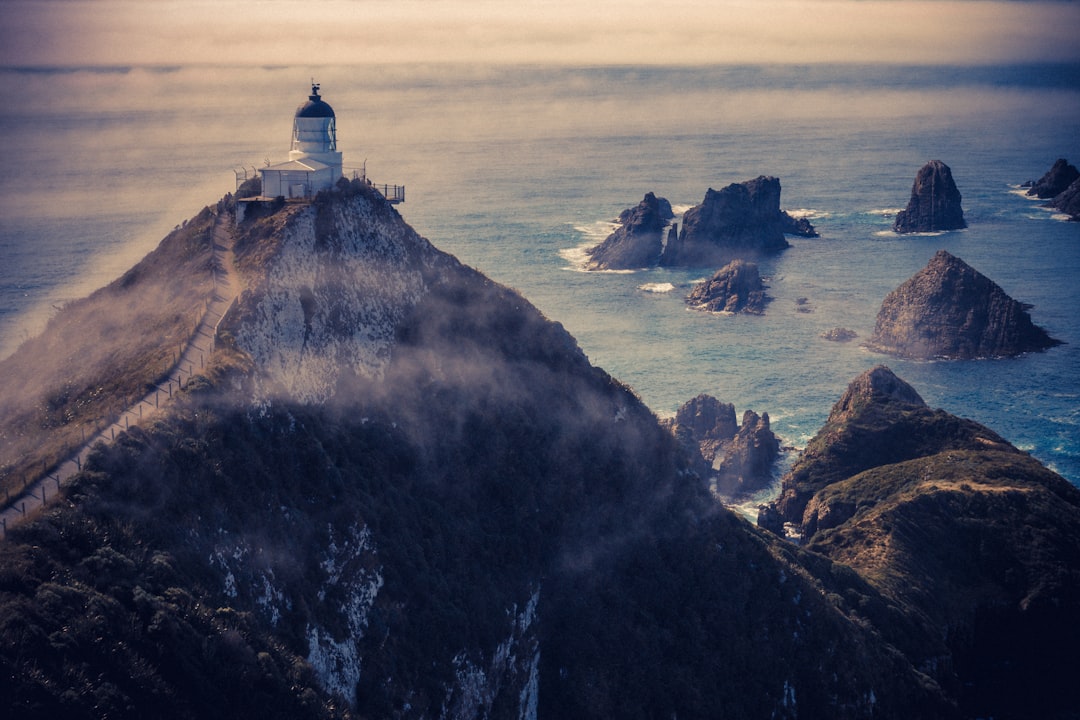 Nugget Point: o farol selvagem dos Catlins - The Nuggets Road | Secret World Trip Planner