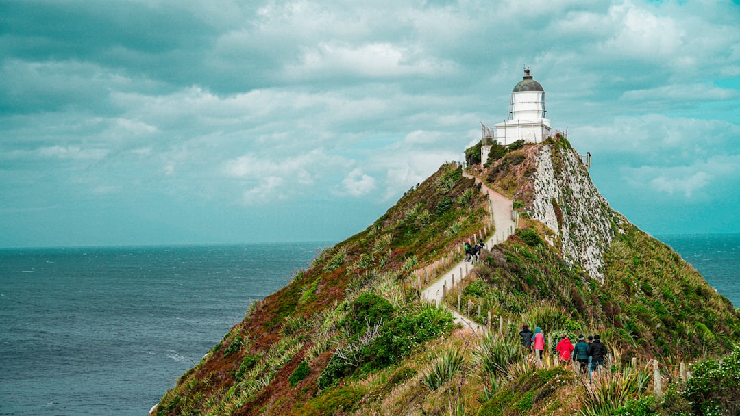 너겟 포인트: 카틀린의 야생 등대 - The Nuggets Road | Secret World Trip Planner