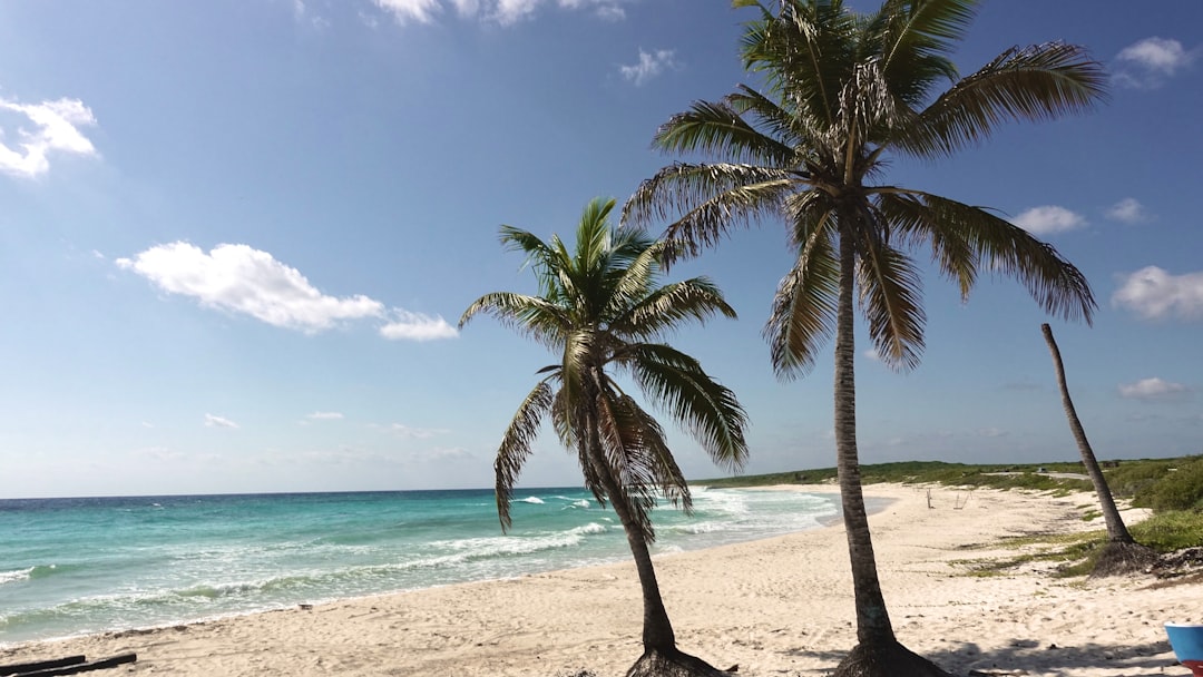 普恩塔苏尔:科苏梅尔的野性尖端 - 77600 Cozumel | Secret World Trip Planner