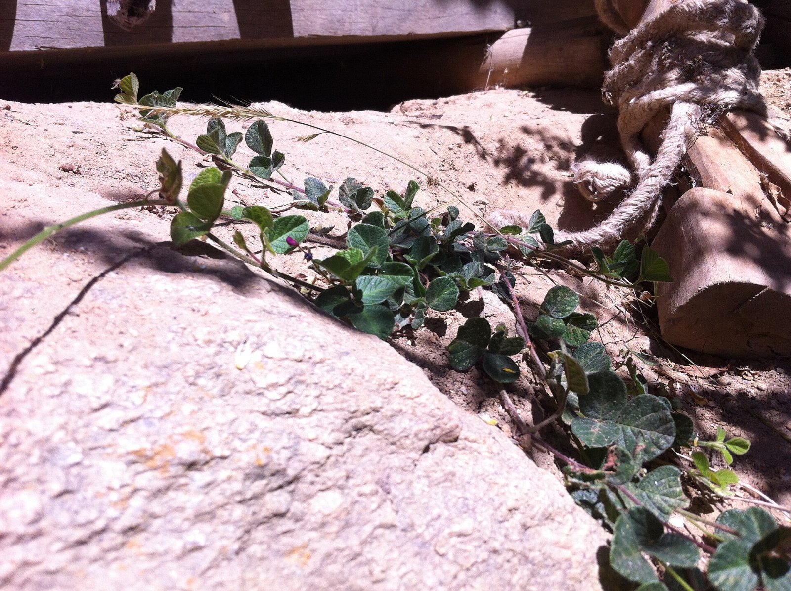 Discover Vicos: a Natural Gem in the Heart of Peru - Atipayan | Secret World Trip Planner