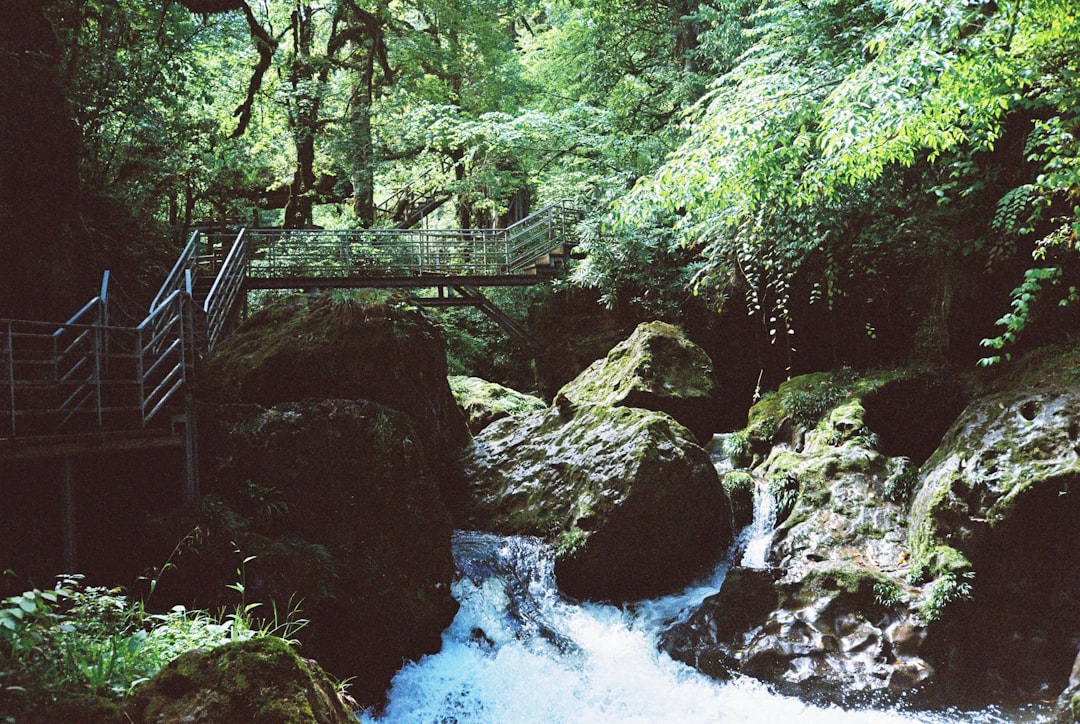 Gola de Vintgar: naturaleza salvaje cerca de Bled - Podhom 80 | Secret World Trip Planner