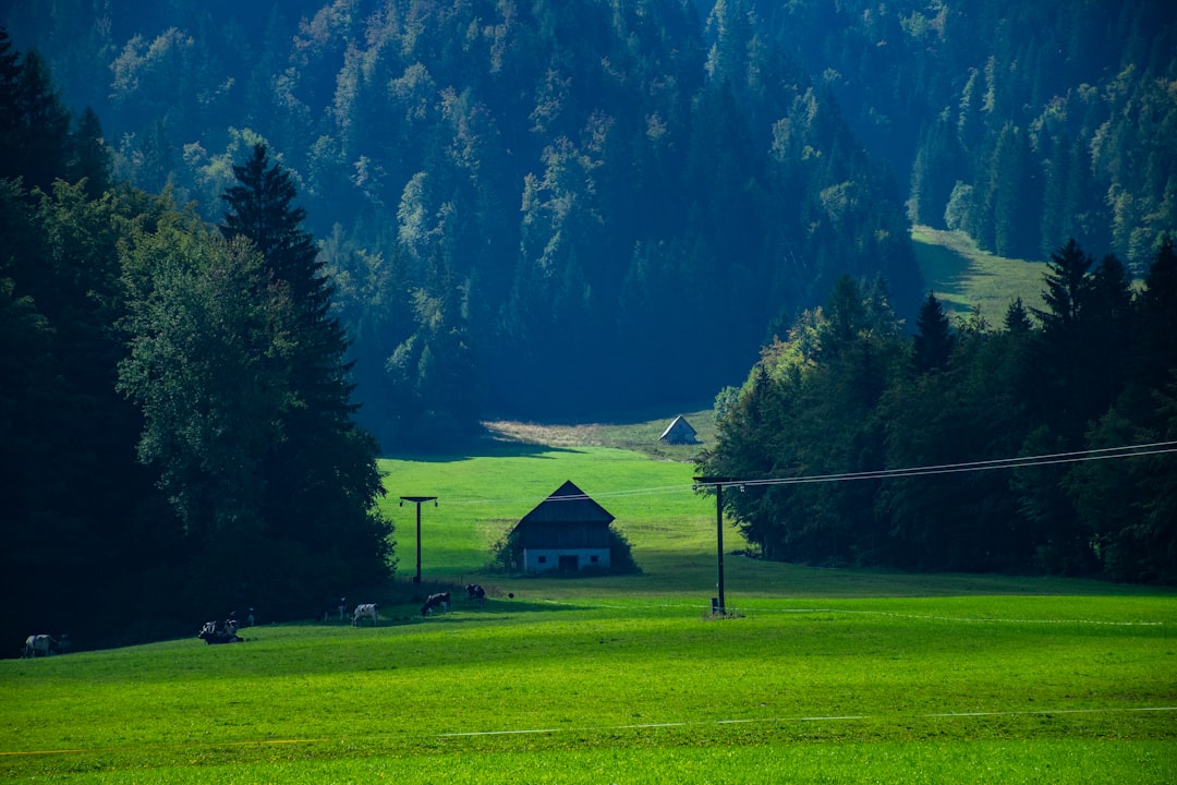 Passo Vršič: panoramas das Alpes Julianos na Eslovênia - Kranjska Gora- Vršič | Secret World Trip Planner