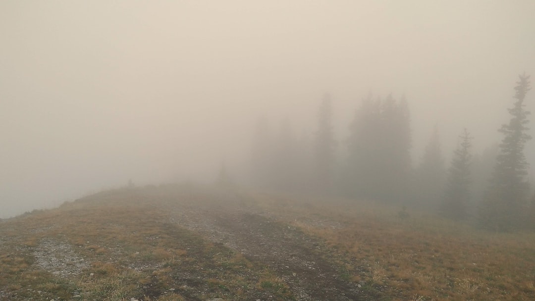 Trilha Kananaskis: Aventura entre Ursos e Lagos - Kananaskis | Secret World Trip Planner