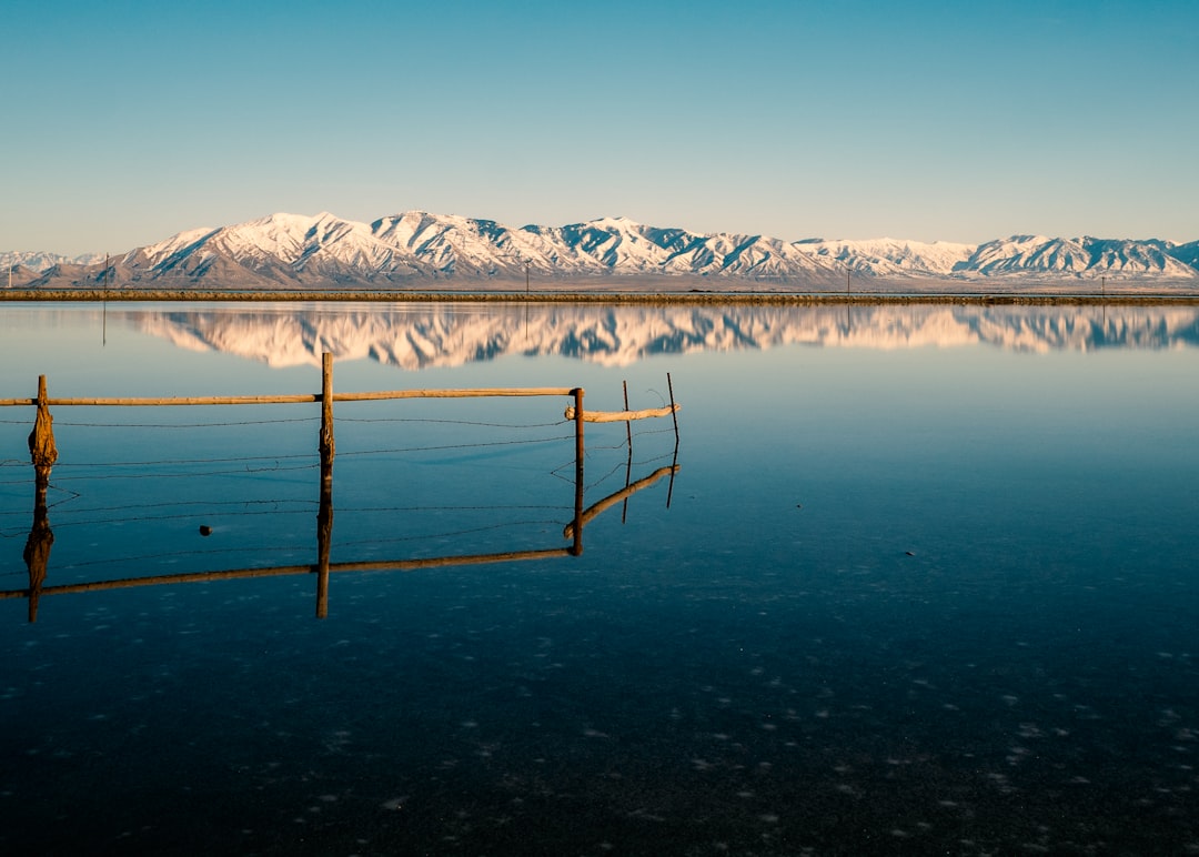 Trilhas da Ilha Antelope: bisões e águas rosas do Great Salt Lake - Syracuse | Secret World Trip Planner