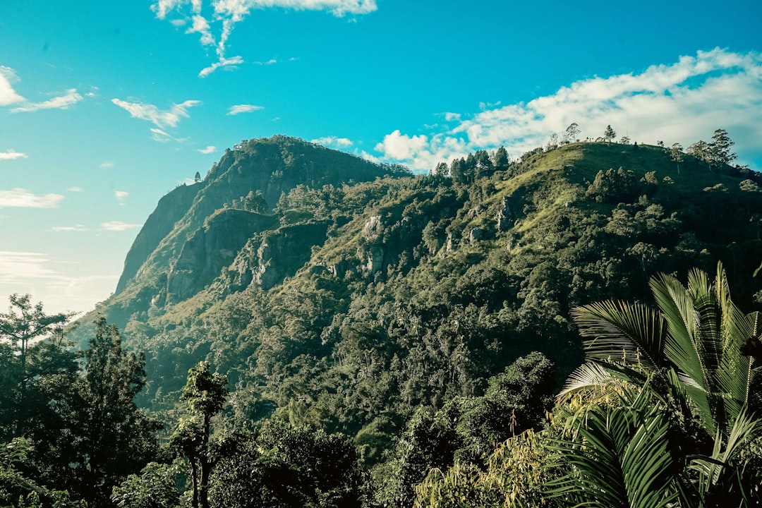 Pequeño Adam's Peak: panoramas al amanecer en Ella - Ella | Secret World Trip Planner