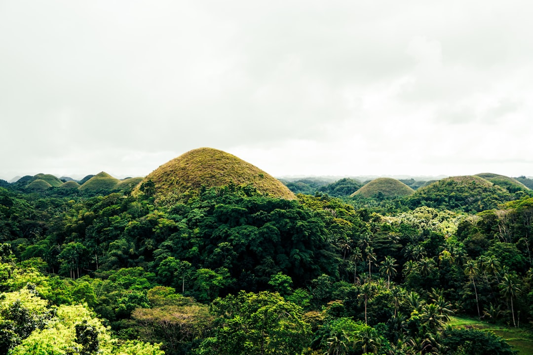 Chocolate Hills em Bohol: as colinas de chocolate - Carmen | Secret World Trip Planner