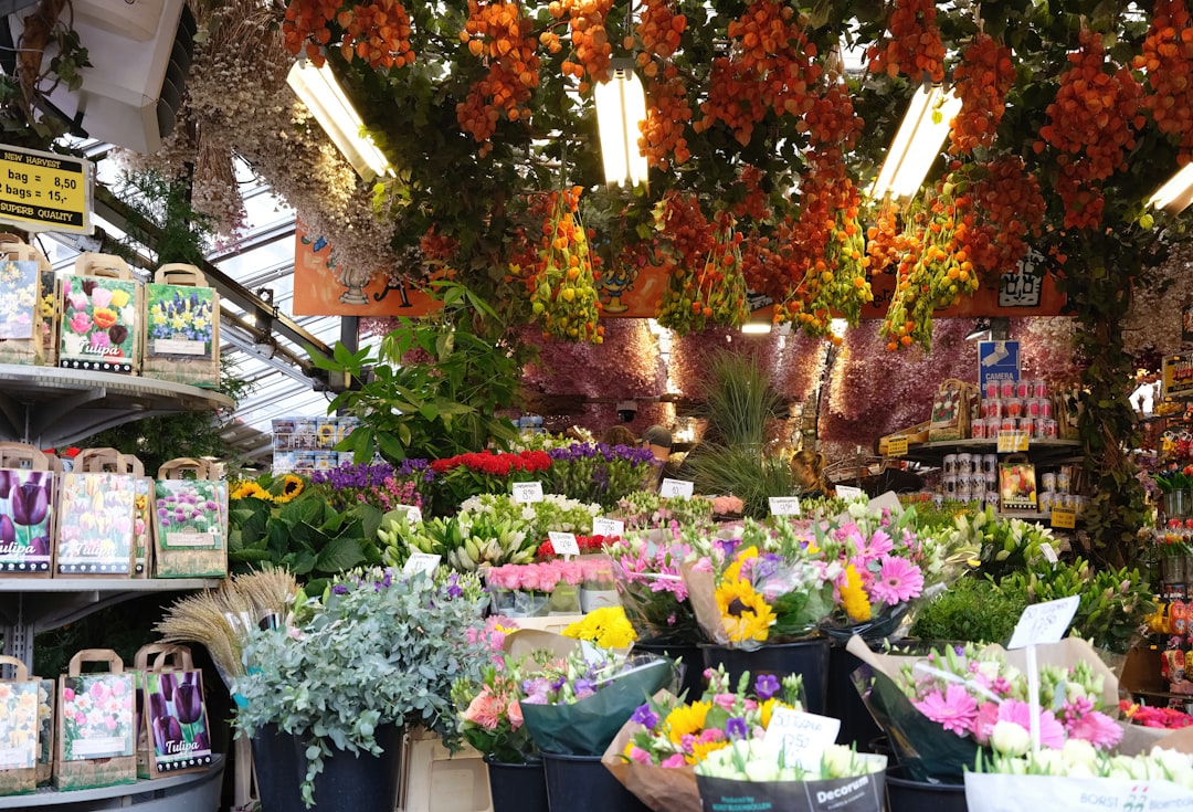 Mercado de Flores em Amsterdã: Tulipas Flutuantes - Singel 630 | Secret World Trip Planner