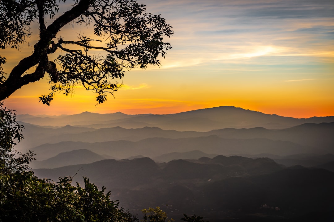 Descubre Doi Pui: una joya natural en Tailandia - Mae Rim District | Secret World Trip Planner