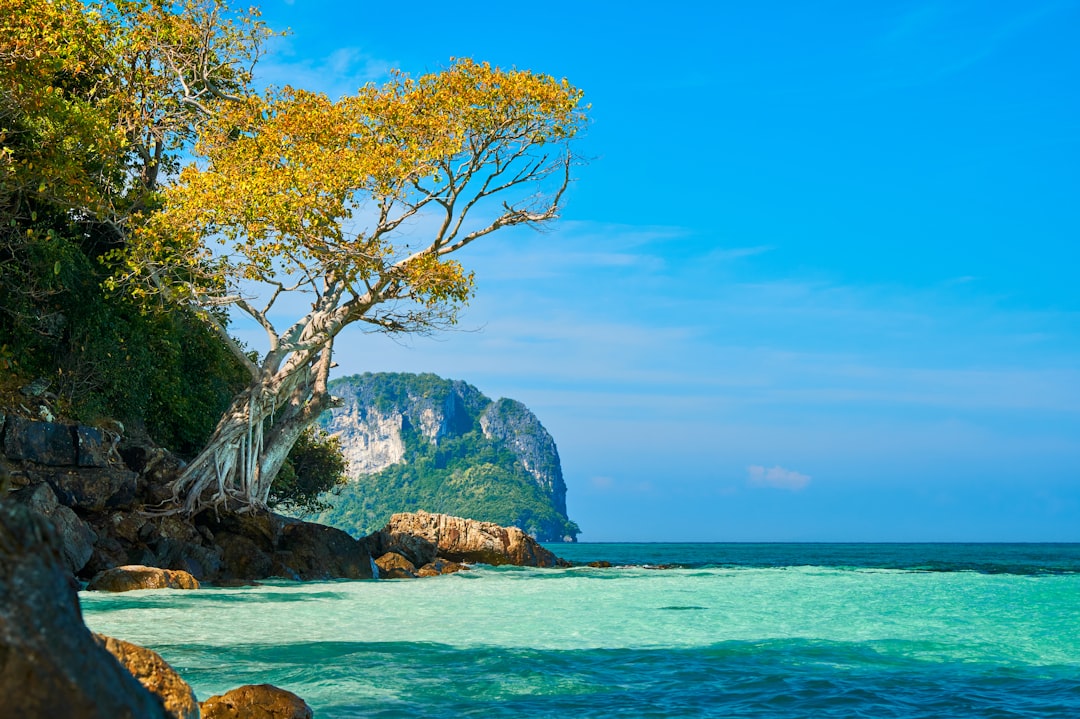 Descubre Khao Khiao: Un Paraíso Natural en Tailandia - Pak Phli District | Secret World Trip Planner