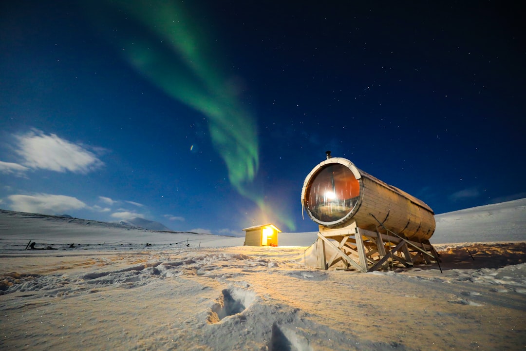 Bóveda de Semillas de Svalbard: el refugio en el Ártico — 9170