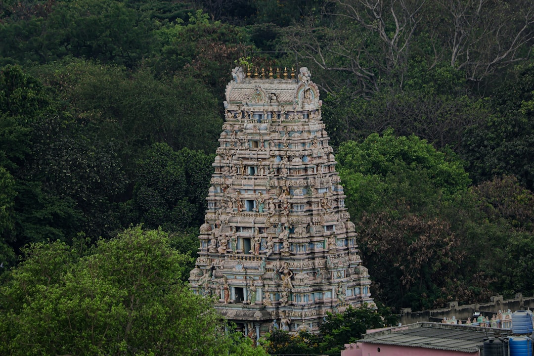 Templo Kapaleeshwarar: esculturas sagradas en Chennai - Chennai | Secret World Trip Planner