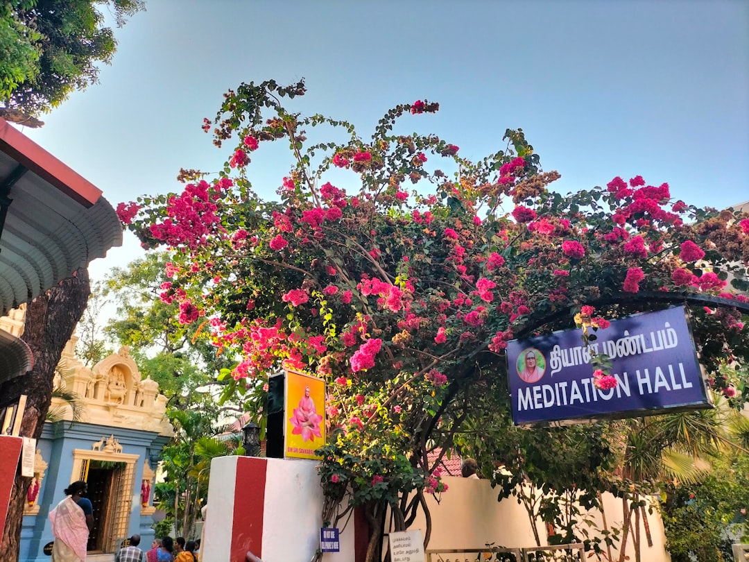 カパリシュワラ寺院:チェンナイの神聖な彫刻 - Chennai | Secret World Trip Planner