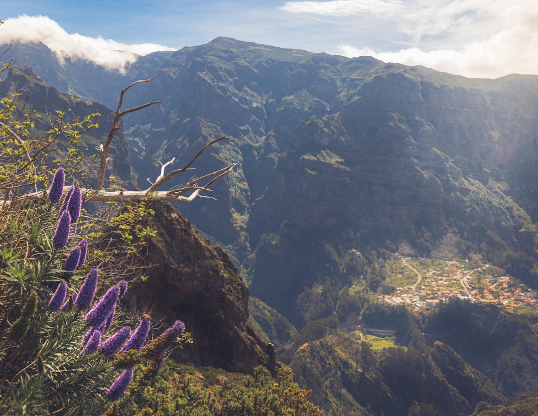 阿里埃罗山:马德拉云端之上的壮丽景观 - Pico do Arieiro | Secret World Trip Planner