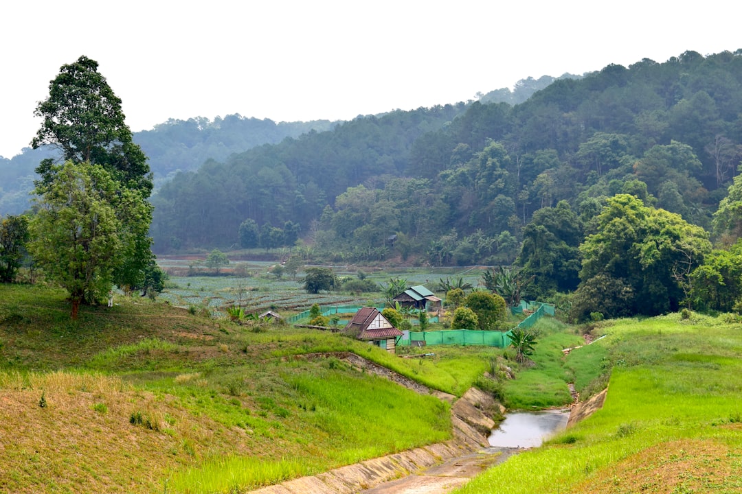 Doi Inthanon: Trails Through Forests and Royal Pagodas - Distretto di Mae Chaem | Secret World Trip Planner