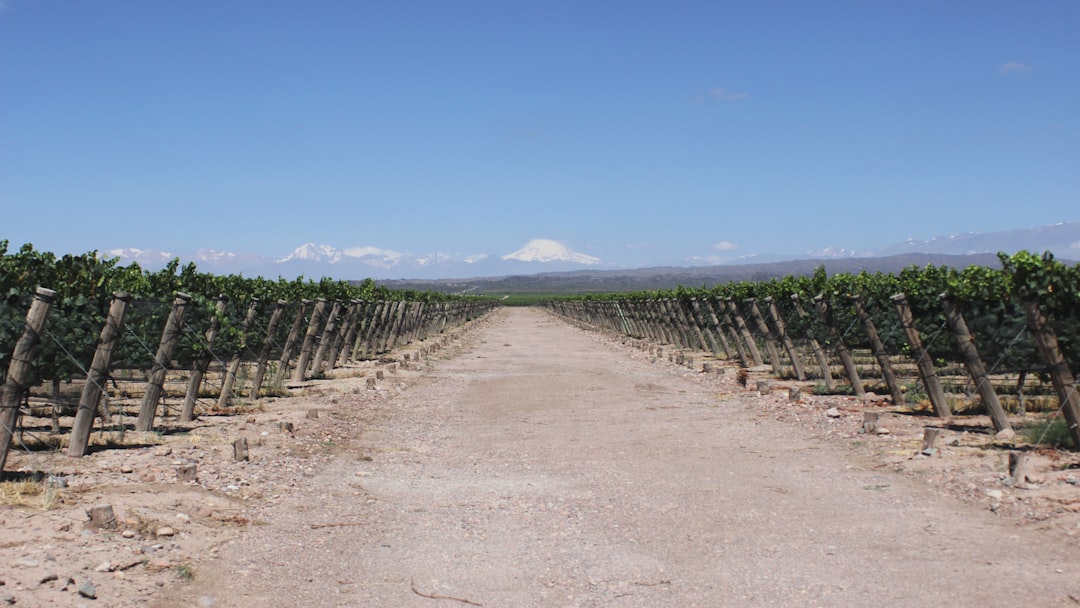 Acampamento de Vinhos em Mendoza: Malbec nas Andes - Primitivo de la Reta 992 | Secret World Trip Planner
