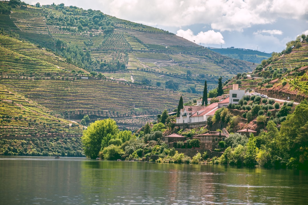 Vinhos do Douro: do Vale do Porto a Peso da Régua | Secret World Trip Planner