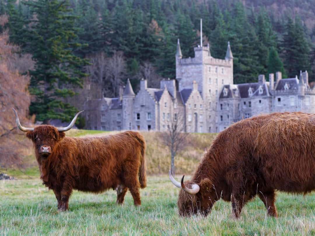 Descubre Deer Abbey: un tesoro histórico de Escocia - Mintlaw | Secret World Trip Planner