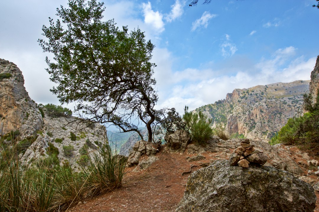Mirador de ses Puntes: el secreto paisaje de Valldemossa - 07170 Valldemossa | Secret World Trip Planner