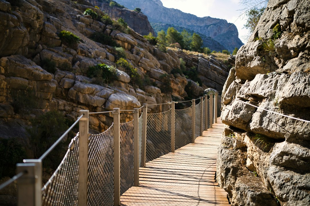 塞斯·蓬特斯观景台:瓦尔德莫萨的秘密全景 - 07170 Valldemossa | Secret World Trip Planner