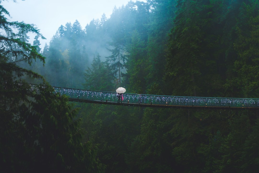 Ponte Capilano: 70 metros acima do rio - North Vancouver | Secret World Trip Planner