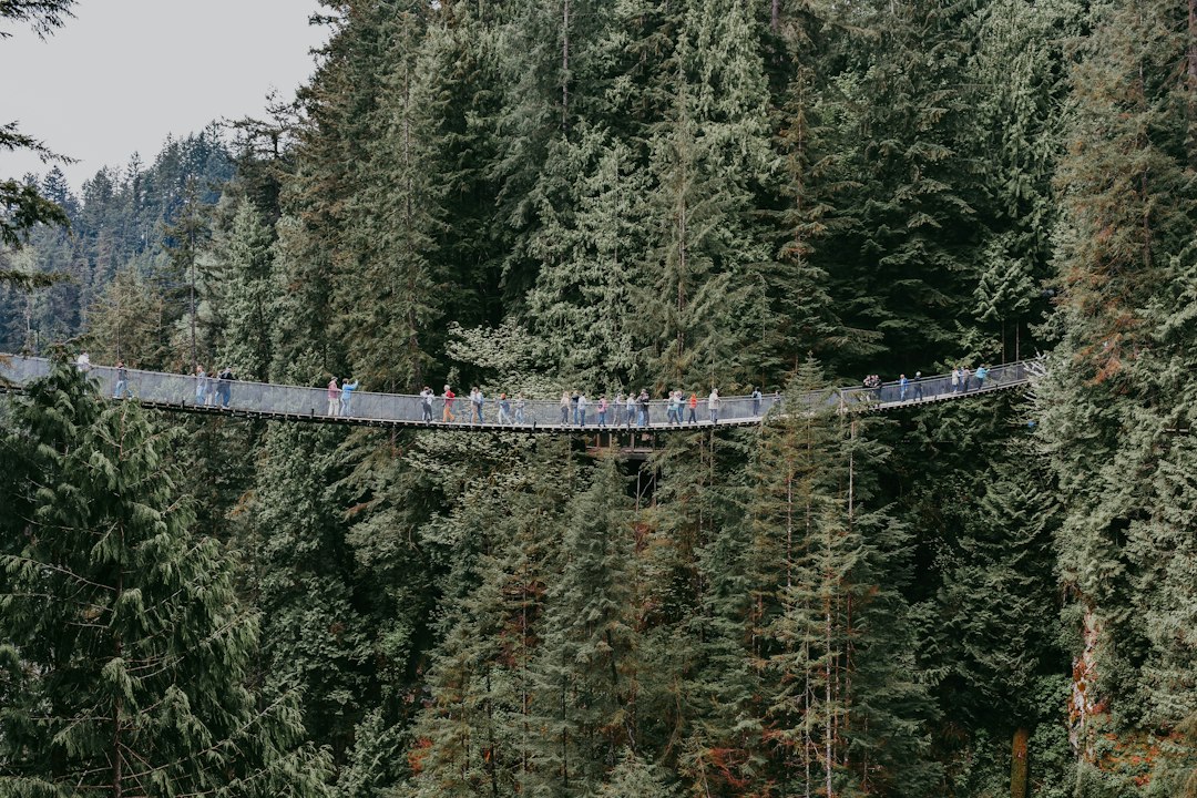 카필라노 다리: 강 위 70미터의 짜릿한 경험 - North Vancouver | Secret World Trip Planner