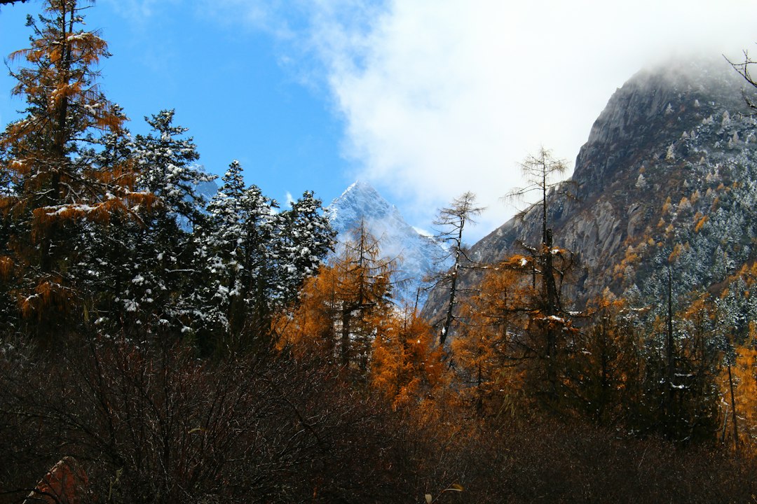 Lushan: las cascadas que inspiraron a los poetas Tang - Jiu Jiang Shi | Secret World Trip Planner