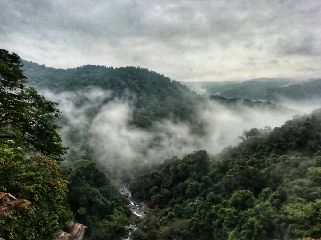 Udawatta Kele: Der königliche Wald über Kandy - Sangamitta Mawatha | Secret World Trip Planner