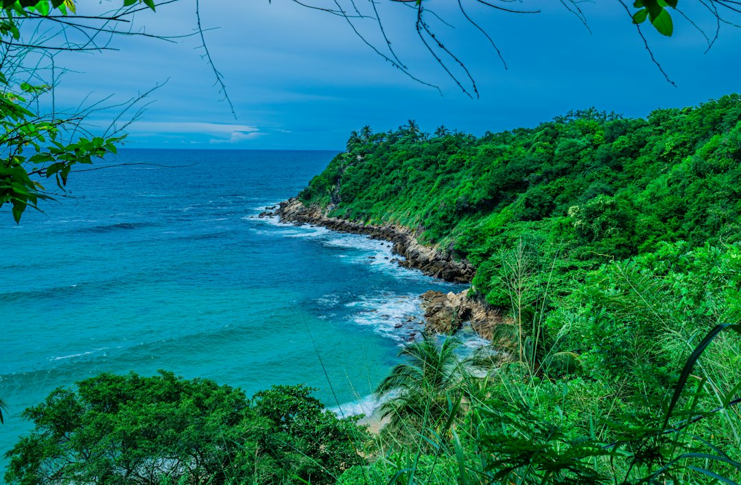 Playa Blanca nach Barú: Die weiße Karibikstrand - Cartagena de Indias | Secret World Trip Planner