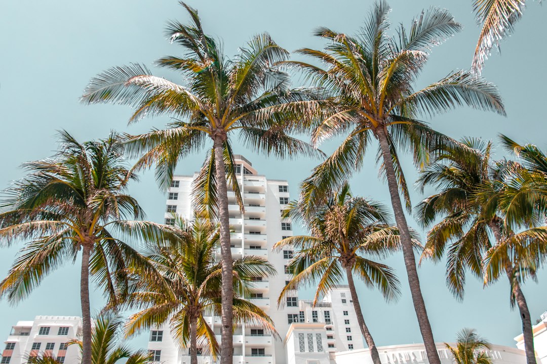 Was man 2026 in Miami sehen sollte: Unverzichtbare Orte - Miami | Secret World Trip Planner