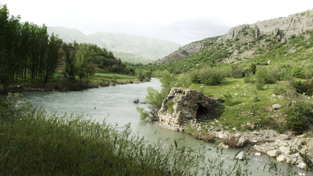 Parco nazionale di Ichkeul: uccelli e natura in Tunisia — 13 P11