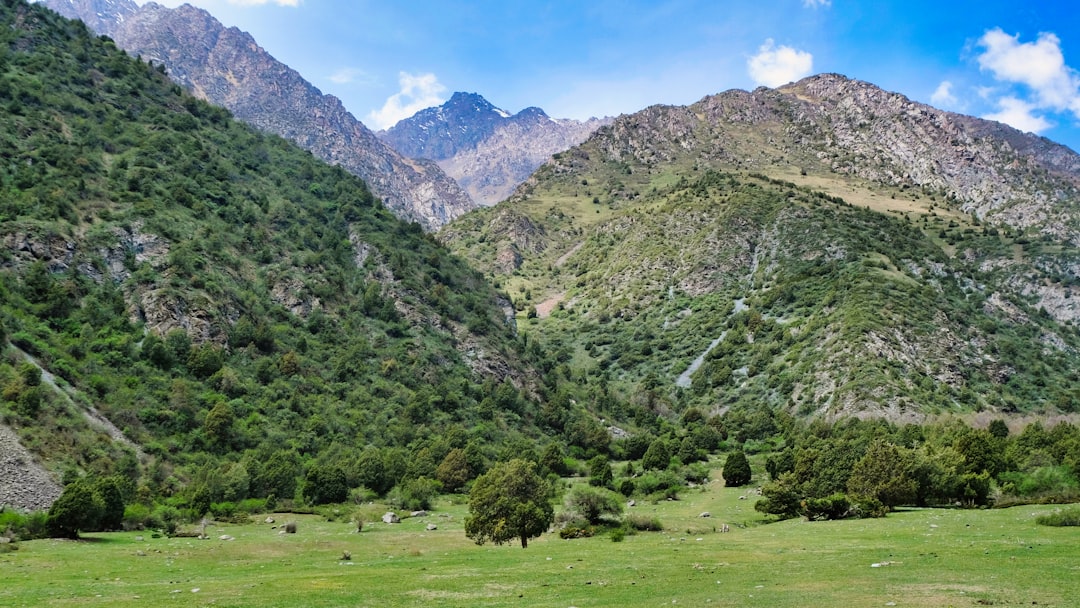 Nationalpark Ichkeul: Vögel und Natur in Tunesien - 13 P11 | Secret World Trip Planner
