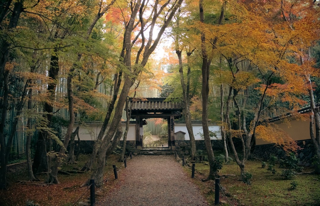 Edo Wonderland Nikko: Kunst des Edo-Zeitalters erleben - Nikko | Secret World Trip Planner