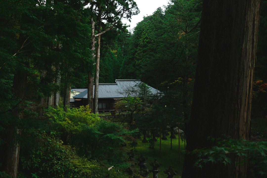 Edo Wonderland Nikko: a arte do período Edo em cena — Nikko