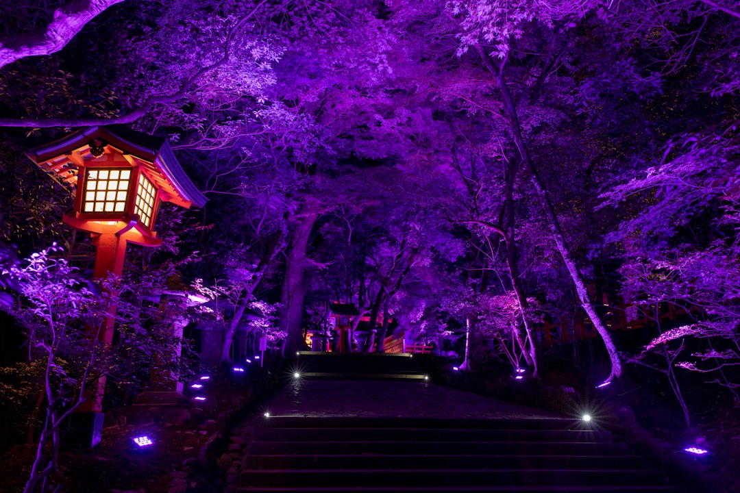 Edo Wonderland Nikko: a arte do período Edo em cena - Nikko | Secret World Trip Planner