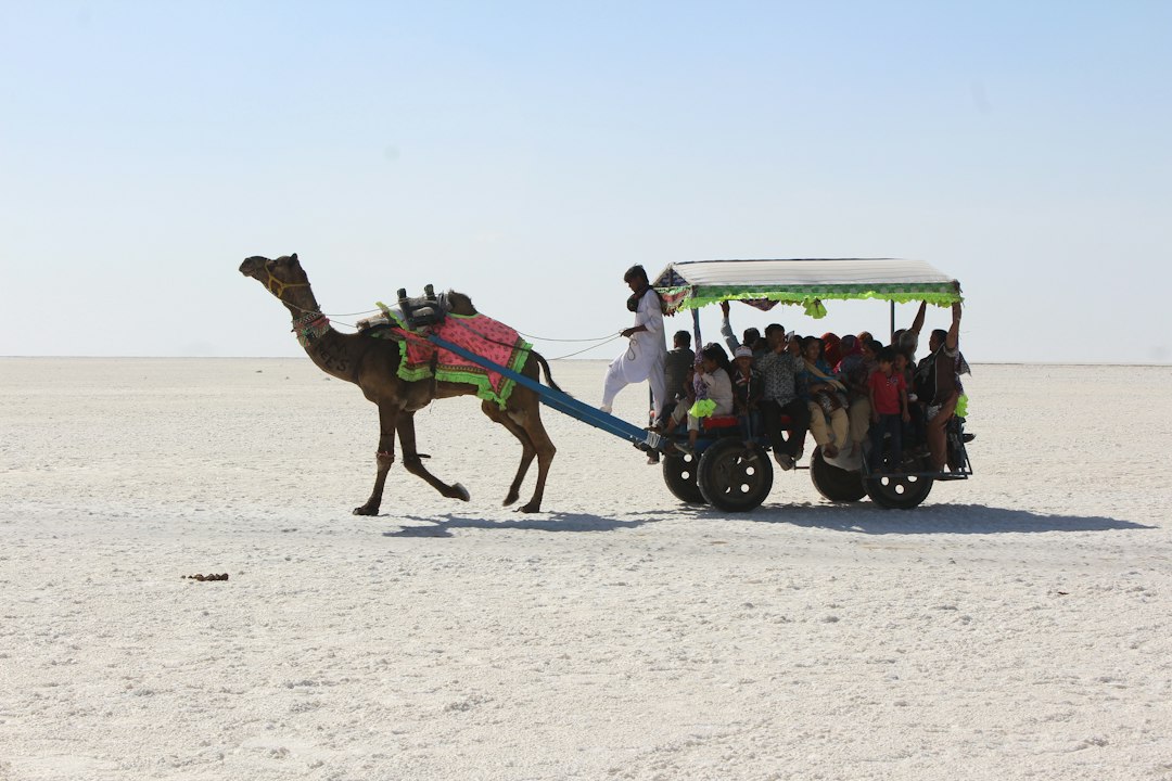 Rann de Kutch: el desierto de sal más grande - Juna | Secret World Trip Planner