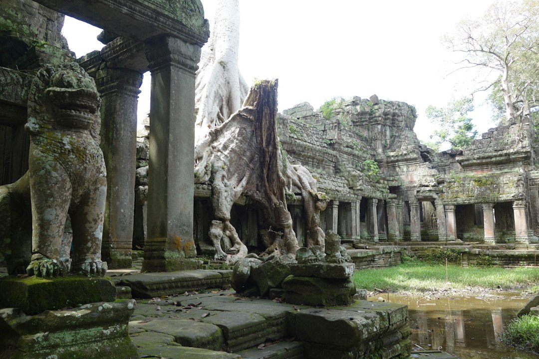 プレア・カン：シェムリアップの寺院都市 - Siem Reap | Secret World Trip Planner