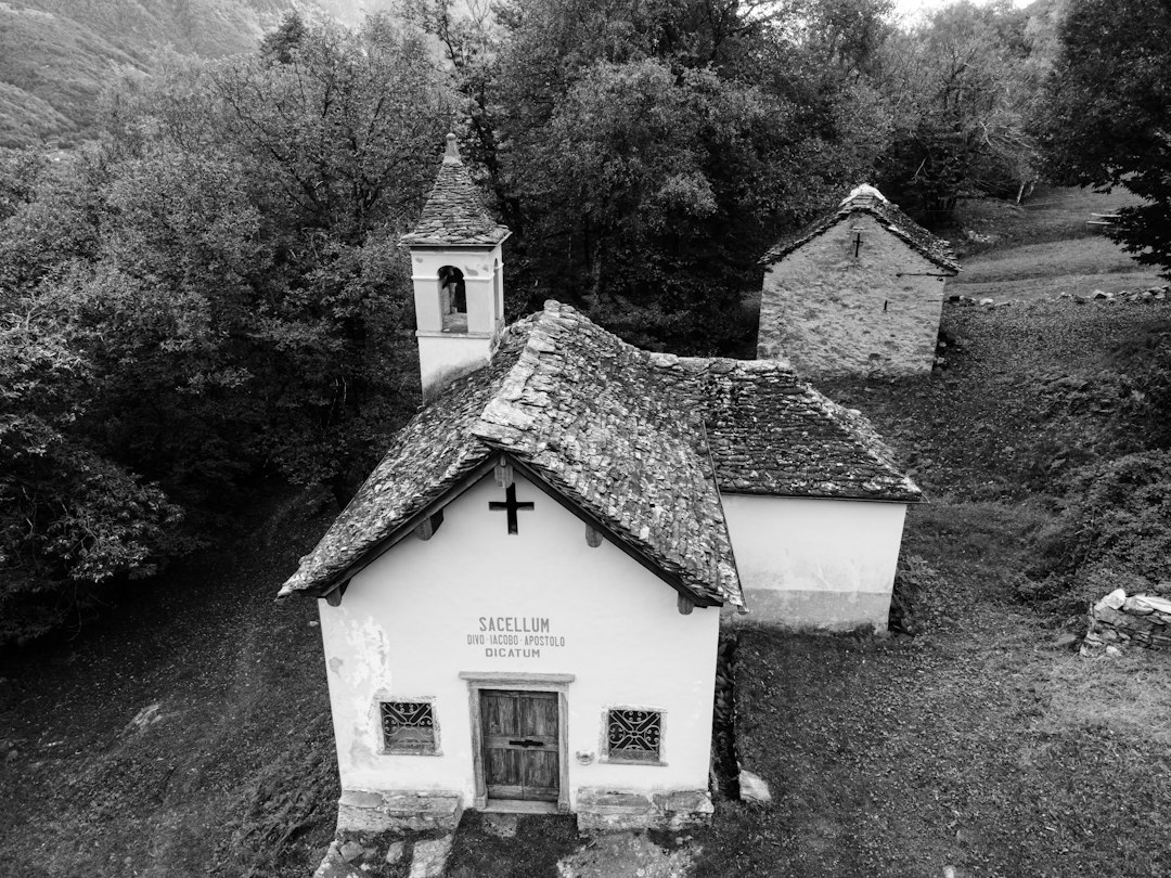 Église sur le Nerl : la pierre blanche du XIIe siècle - Vladimirskaya oblast' | Secret World Trip Planner
