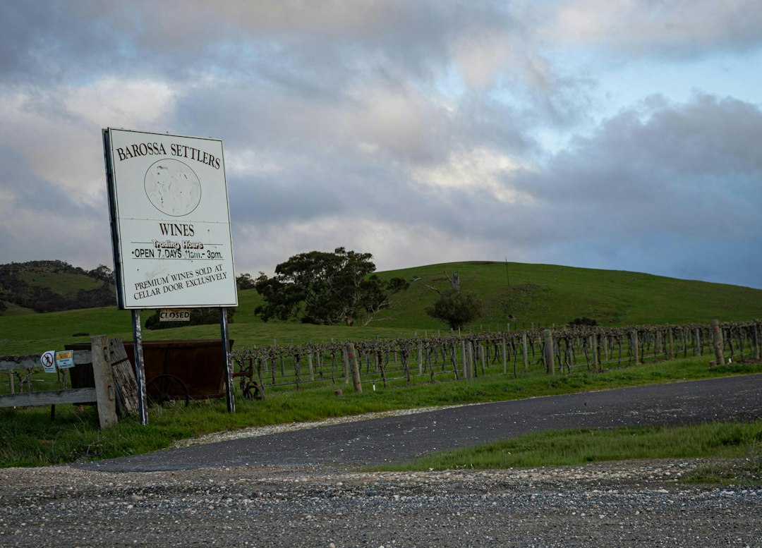 Valle de Barossa: vinos y viñas centenarias en Australia - Barossa Valley | Secret World Trip Planner