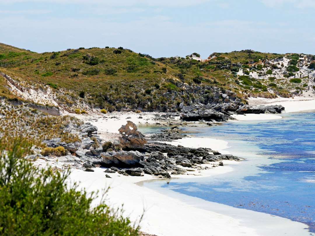 罗特尼斯岛:无车的可爱夸卡岛 - Rottnest Island | Secret World Trip Planner