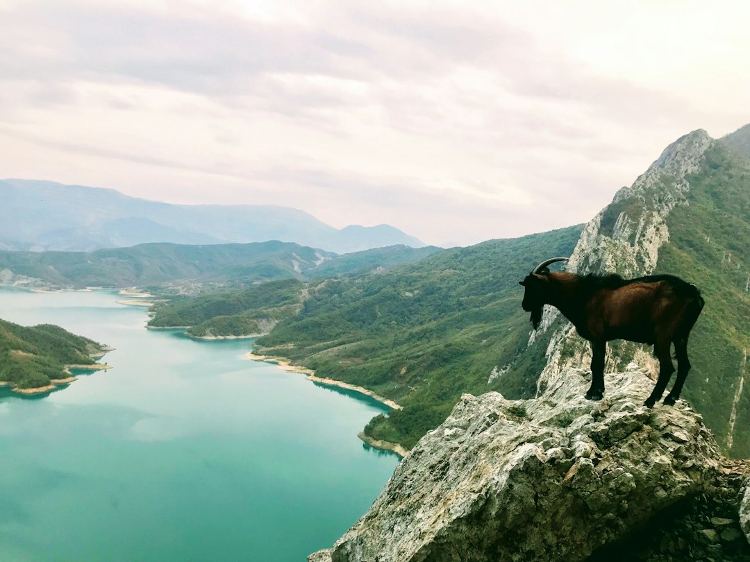 克鲁耶山:阿尔巴尼亚心脏中的自然宝藏 - Krujë | Secret World Trip Planner