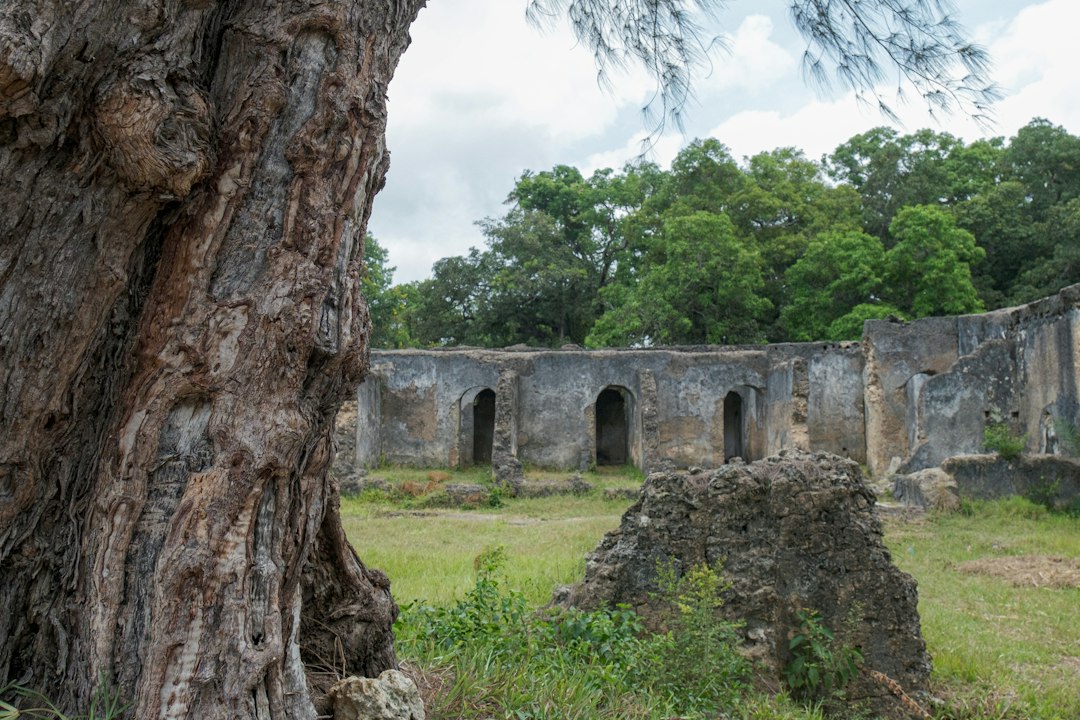 Руины Геде: свахили-дворцы в объятиях леса - Gede Watamu Rd | Secret World Trip Planner