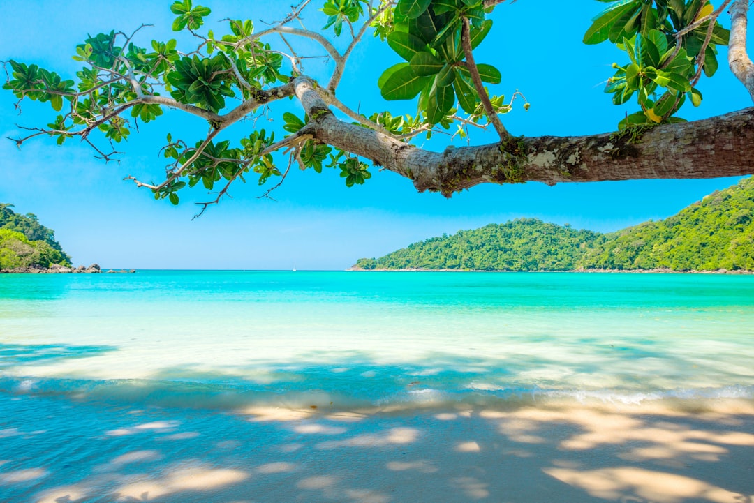 놉파랏 타라: 아오낭 석회암 섬 사이의 등대 - Distretto di Mueang Krabi | Secret World Trip Planner