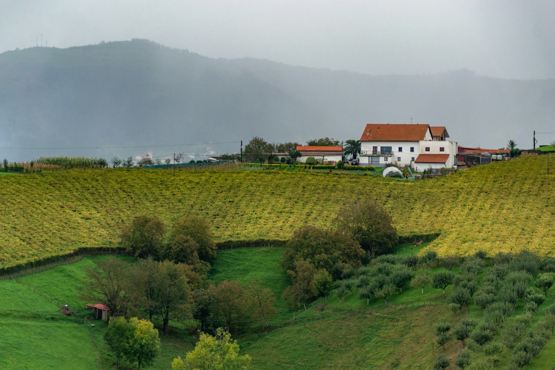 Quinta do Crasto: vini e scisti nel Douro portoghese - Quinta do Crasto | Secret World Trip Planner