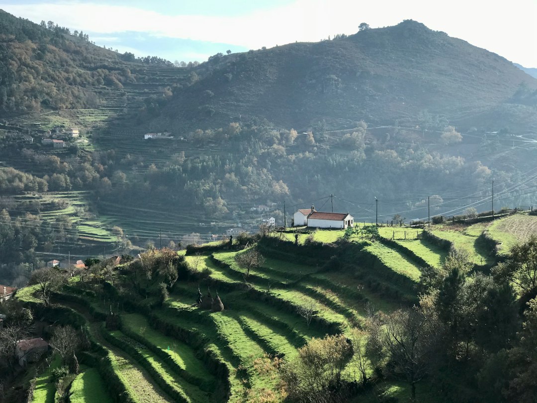 Quinta do Crasto: vini e scisti nel Douro portoghese - Quinta do Crasto | Secret World Trip Planner