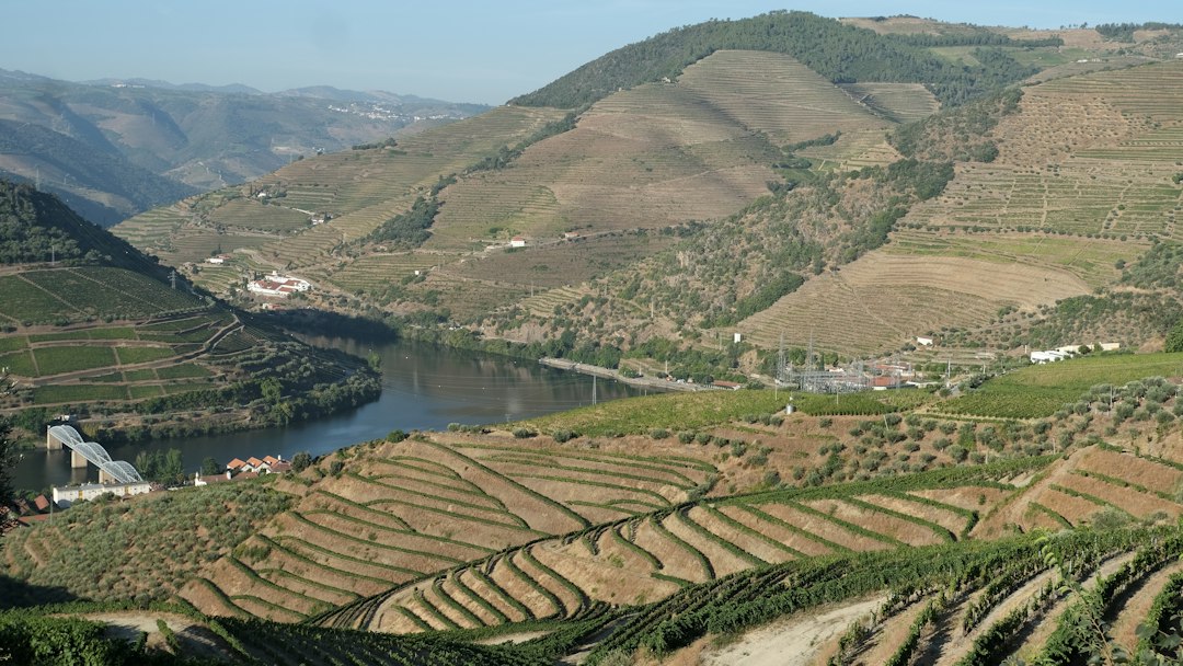 Quinta do Crasto: vini e scisti nel Douro portoghese - Quinta do Crasto | Secret World Trip Planner