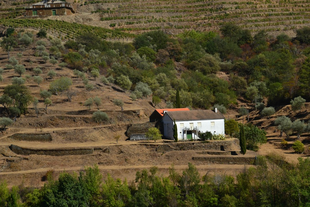 Квинта до Красто: вино и шифер в португальском Дору - Quinta do Crasto | Secret World Trip Planner